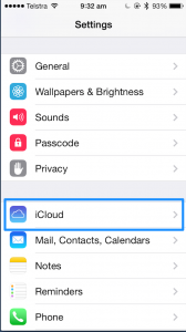 1. iCloud Settings Menu